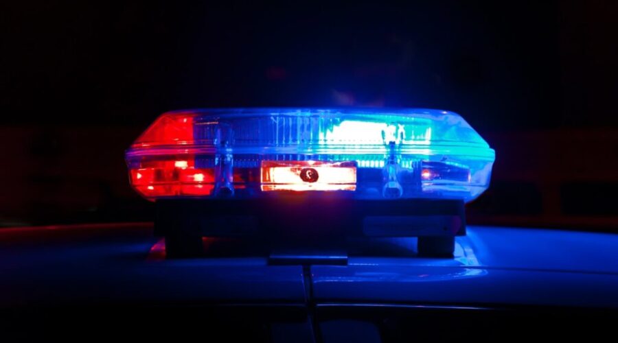 Minister says progress is being made in fight against auto theft