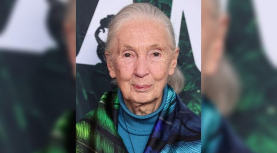 goodall1 Conservationist Dr. Jane Goodall dies at 91