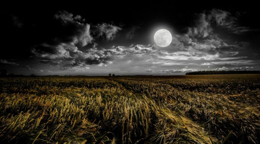 The Harvest Supermoon October 7th – A Golden Night to Remember