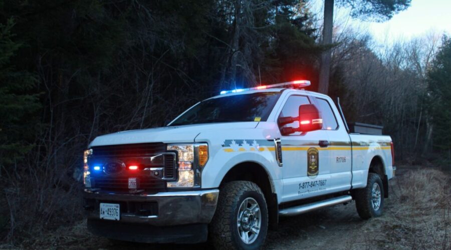 Illegal moose hunt cost American hunter dearly