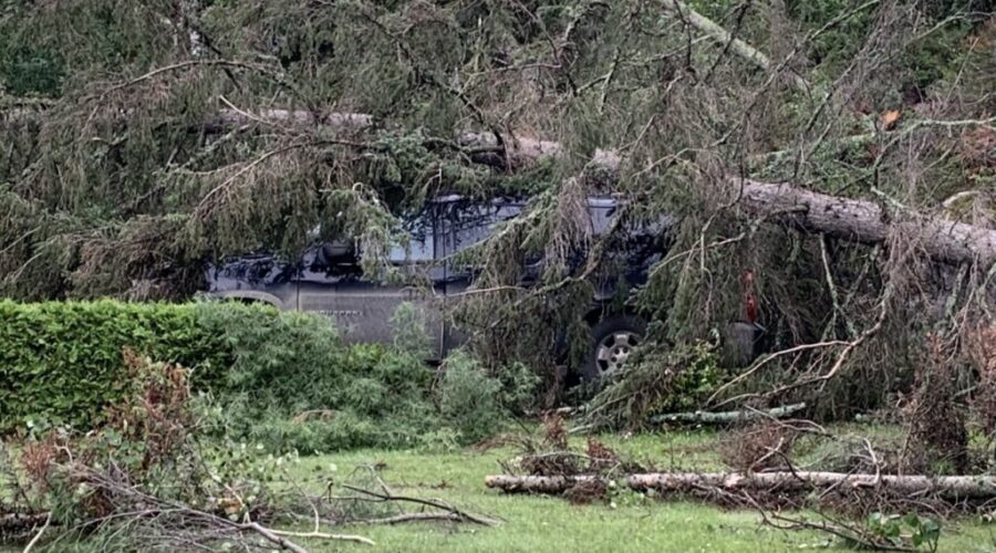 Nestor Falls Storm 1 - July 2022 NDP advocate for climate action strategy