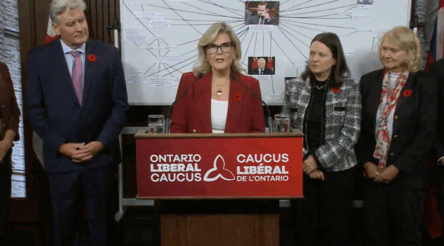 Liberal seek ruling from Integrity Commissioner on distribution of training dollars