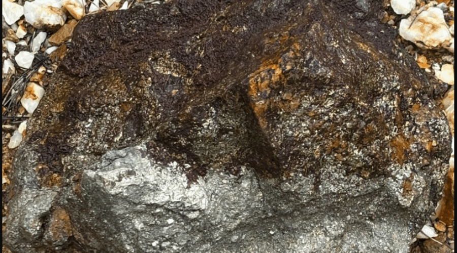 Gold-rich area east of Dryden acquired by Alberta mining firm