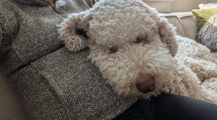 mack leave Apparently its mat leave, not Mack leave: a heartbreaking misunderstanding