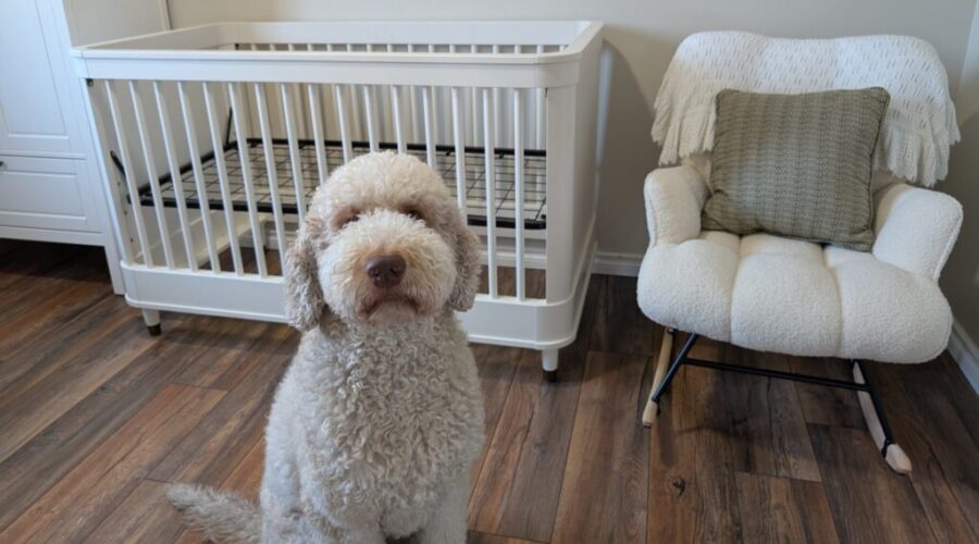 mack nursery Big Brother Status: Still Pending (And I Have Thoughts)