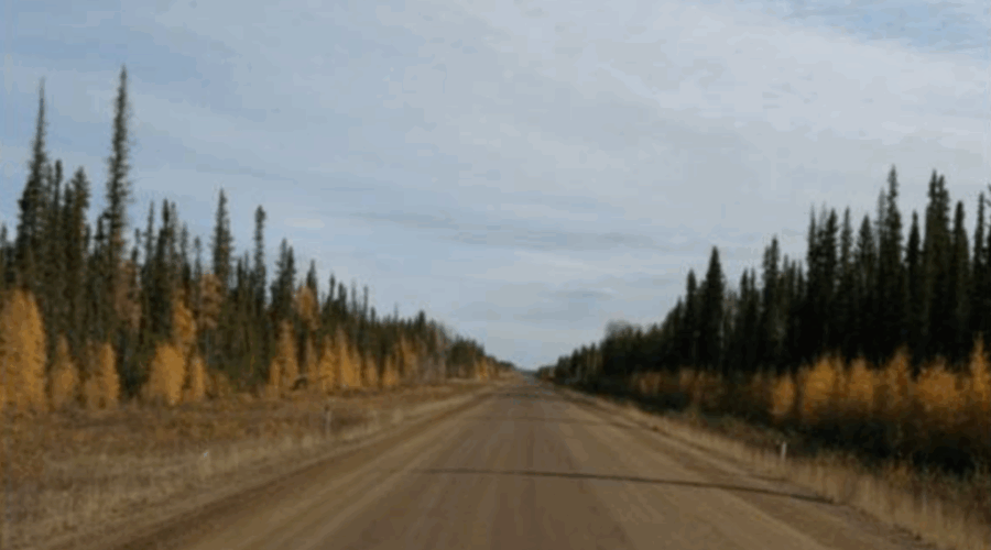 Remote dirt road First Nations lobby for federal funding for all-weather road in Ontario’s Far North