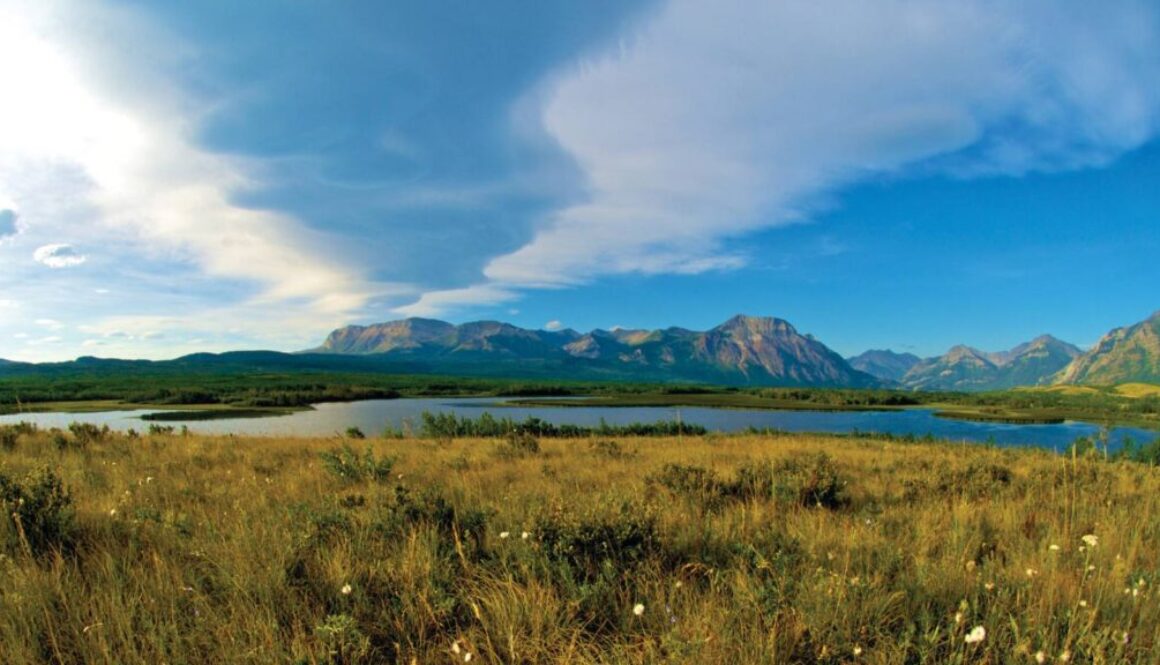 The Rockies - Waterton Park Front