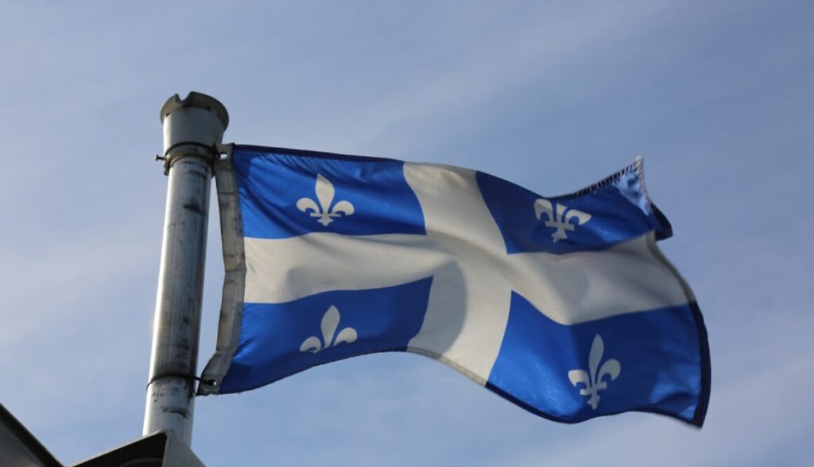 a flag on a pole
