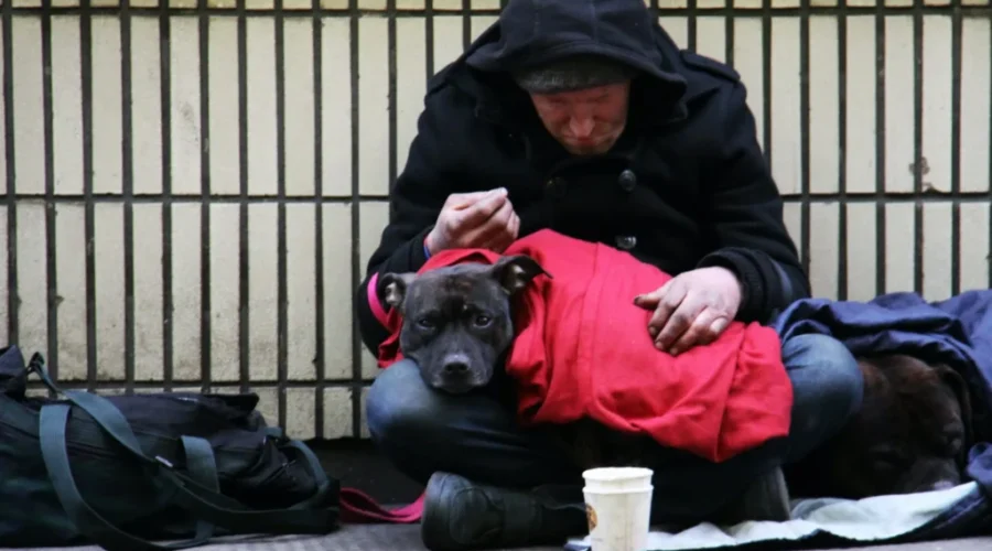 Major jump in homelessness reported in northern Ontario
