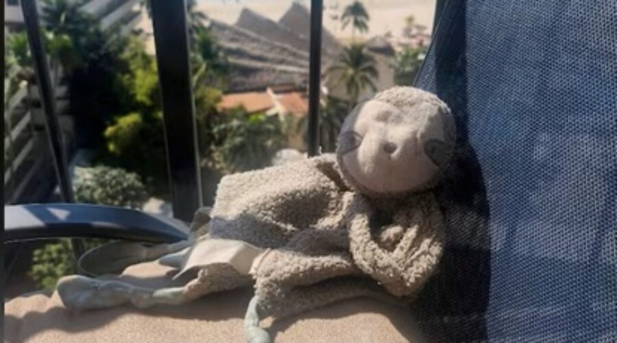 Mexico Stuffy Tell Me Something Good: Child from the region reunited with favourite stuffy