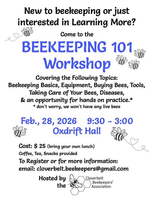 beekeeping 101