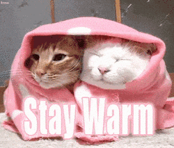 Cold House? Warm Up Without Breaking the Bank