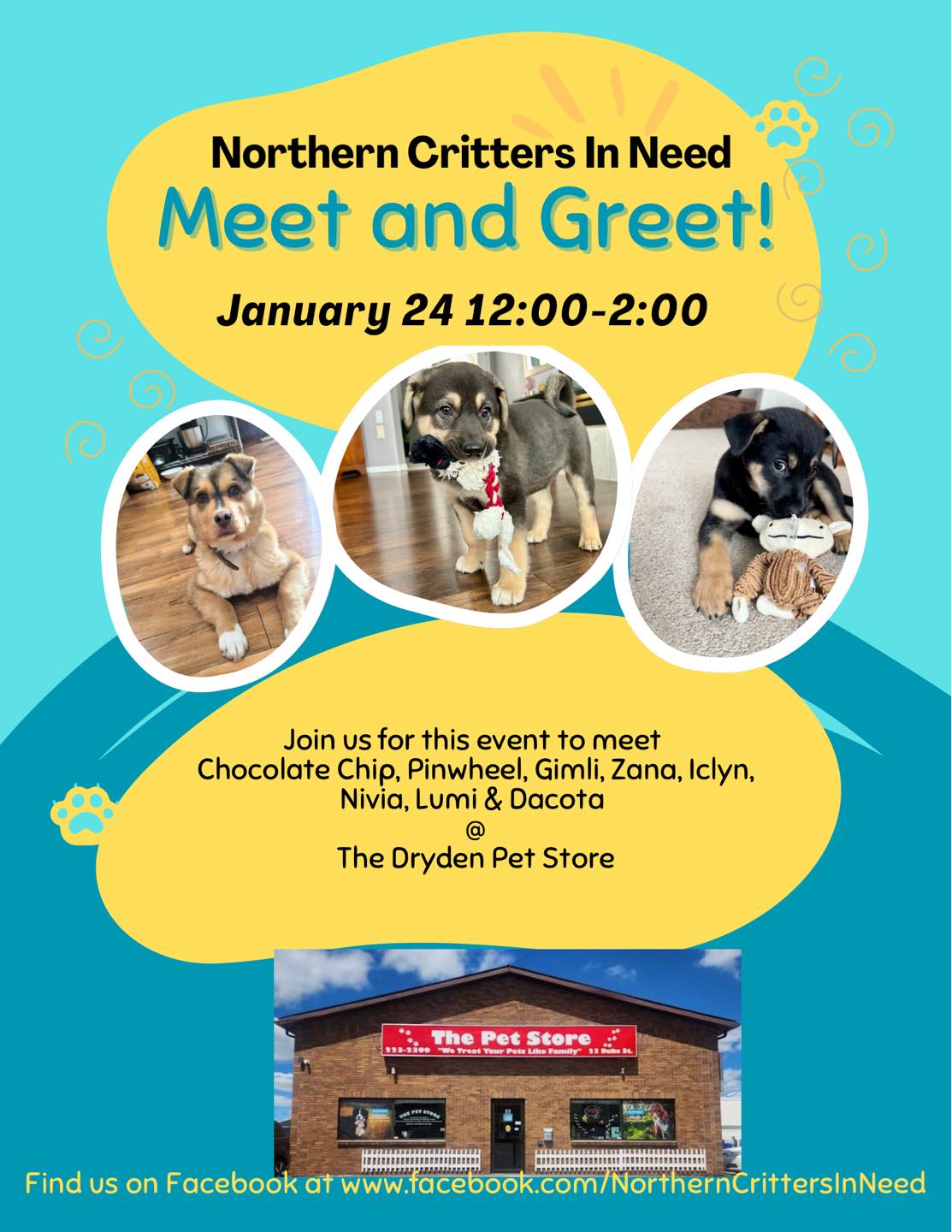 meet the hounds pet store