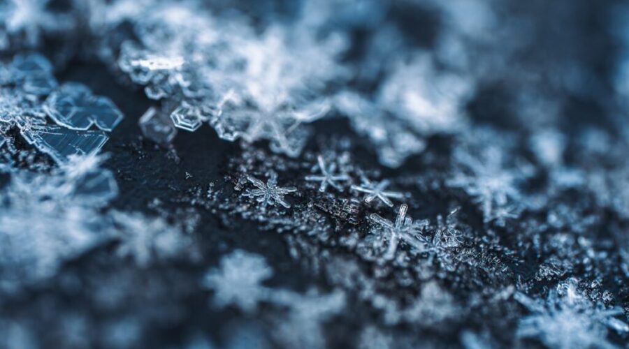 Photo by Kristīne Zāle (Macro Viewpoint) Extreme cold continues in Northwestern Ontario