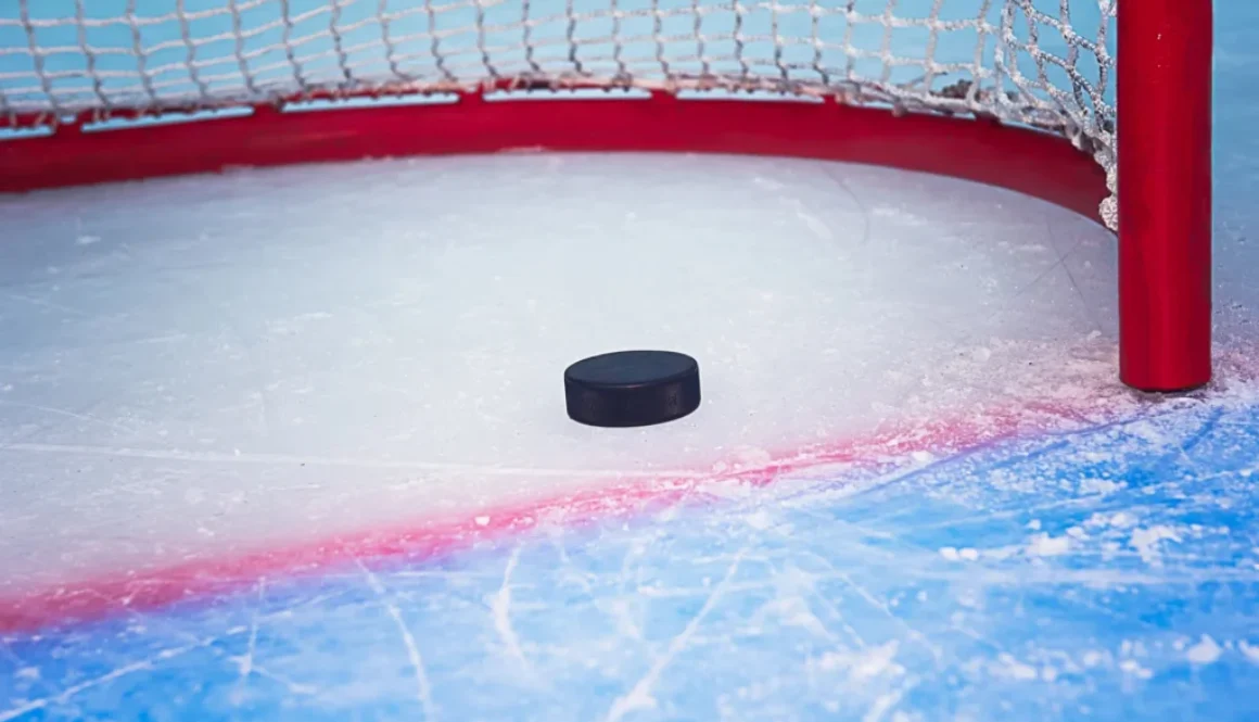 Hockey puck crossing goal line