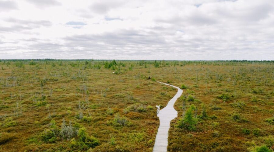 5A9A10815-large Wetland loss raising risks for Canadian communities
