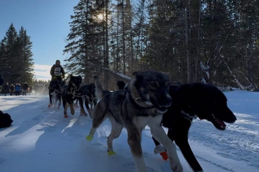 Musher from the region competing in famous Alaskan race
