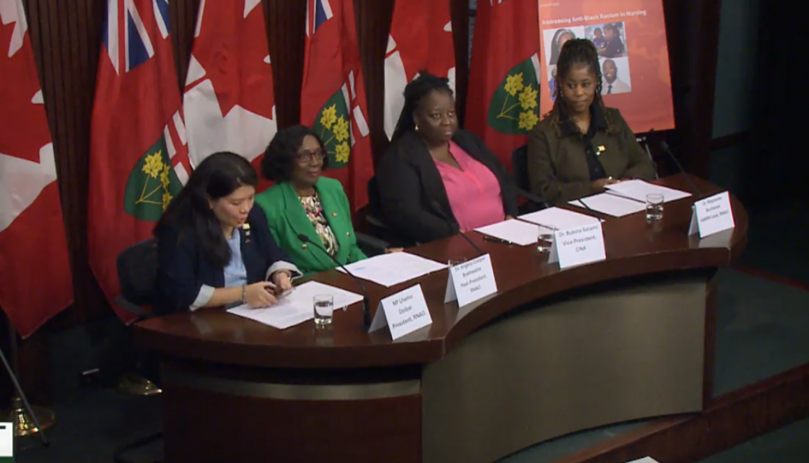 RNAO black nurses guideline
