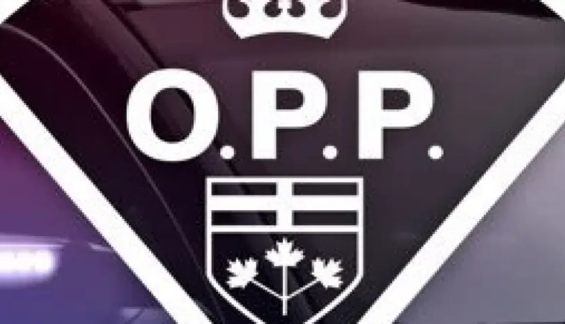 OPP Logo