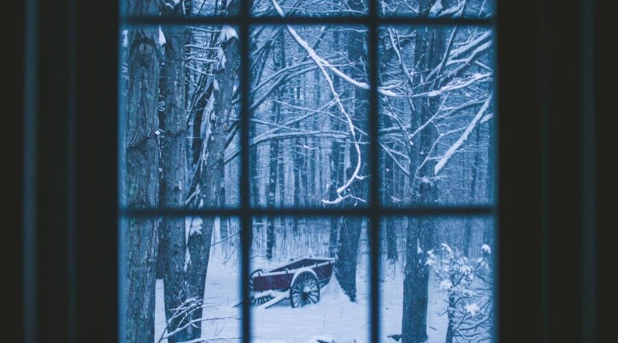 Photo by Mike Petrucci Are the winter blues getting to you?