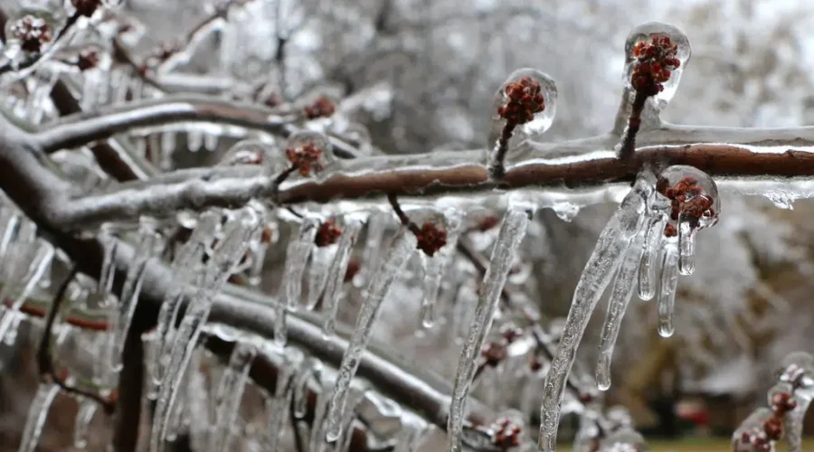 Freezing Rain Freezing rain creates slippery conditions across Northwestern Ontario