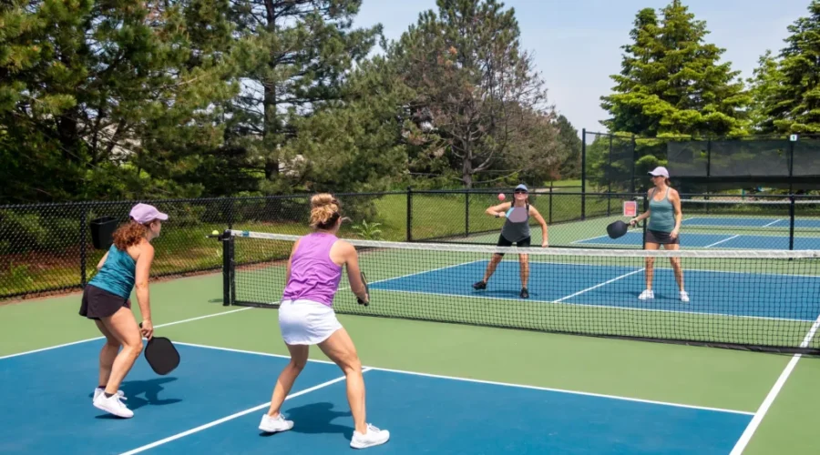 Dryden applies to NOHFC for new pickleball courts