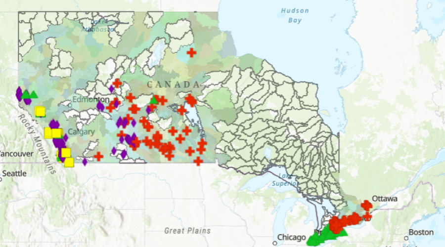 Restoration action dashboard map Online map outlines fish restocking efforts in Ontario/Prairie region