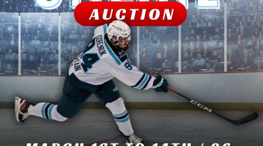 Dryden Ice Dogs auction