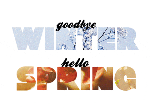 Winter Spring GIF The Suns’ Long Battle Back to the Top!