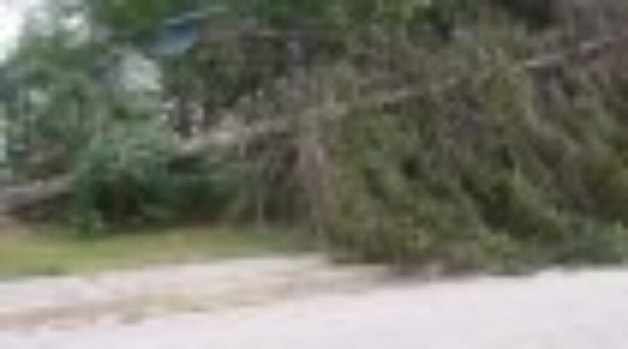 Clean Up Efforts Continue In Dryden