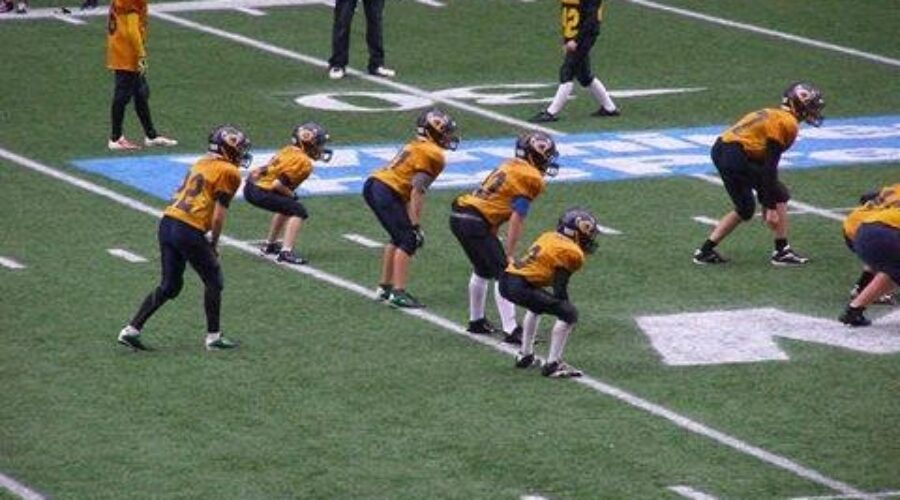 Exciting Experience For Dryden Falcons