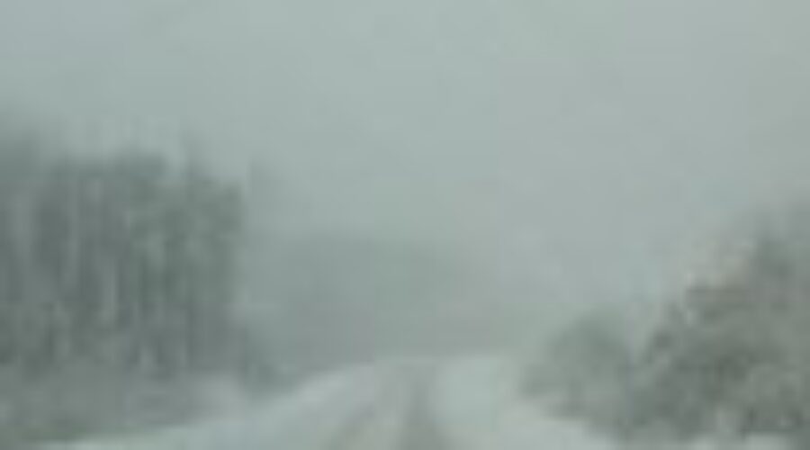 Winter Wonderland In The Fall