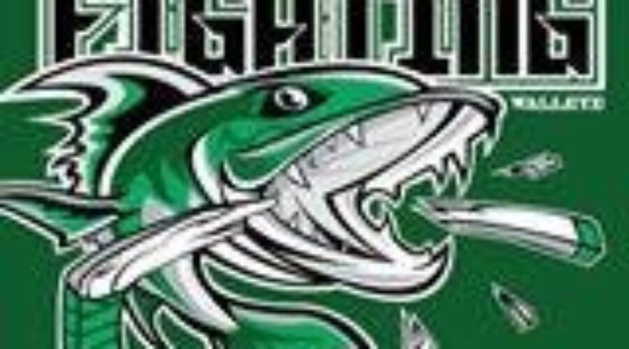 Junior Hockey In Kenora Delayed One Year