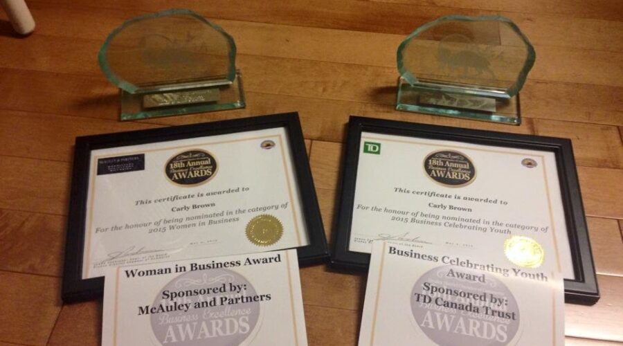 Dryden Business Excellence Award Winners