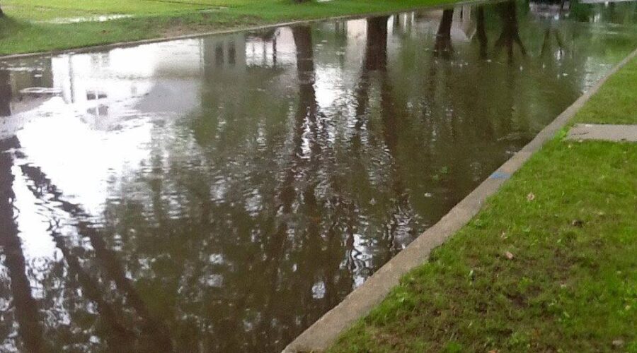 11696025_10153070943248107_5823462153648654204_n Plenty of Rain But No Records Set