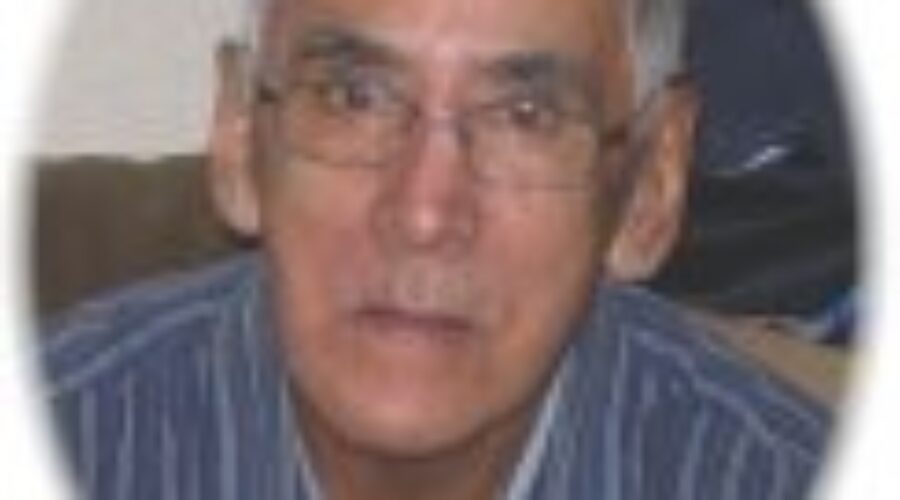 Leo Binguis