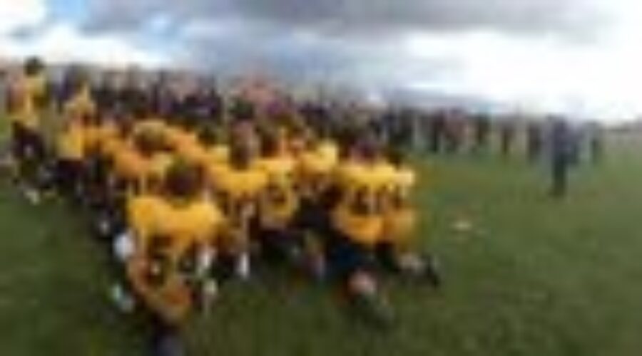 Dryden Falcons Declaw The Wolverines