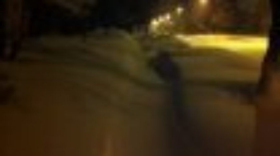 Region Hit With 15-20 Centimetres Of Snow