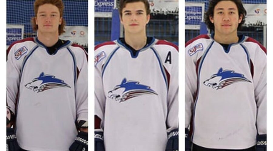Ice Dogs Alumni Moving To Next Level