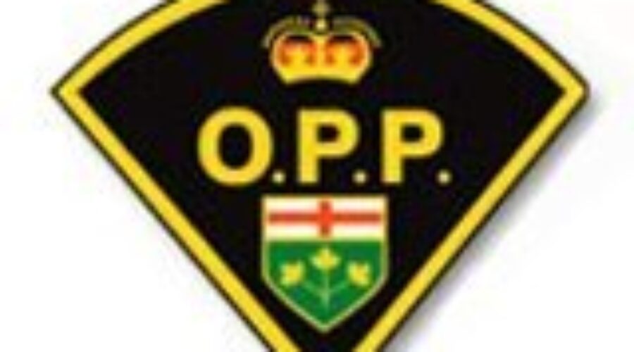 Schreiber Man Charged In Porn Investigation