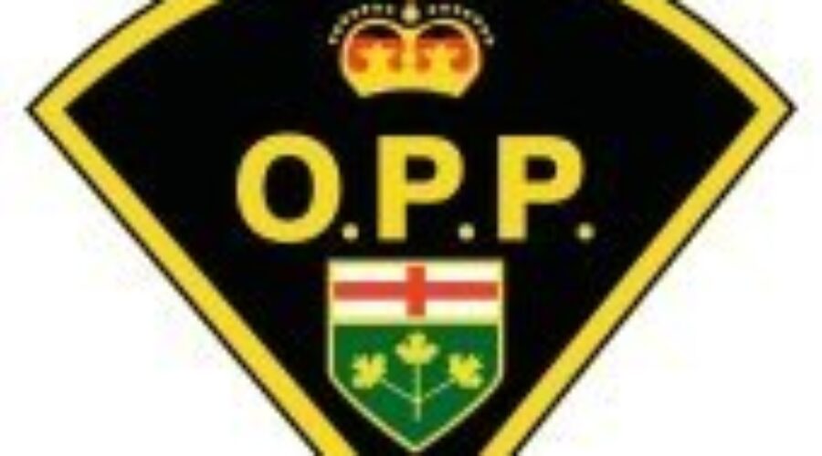 170px-Ontario_Provincial_Police_Logo_svg One Person Injured In Sunday Afternoon Crash