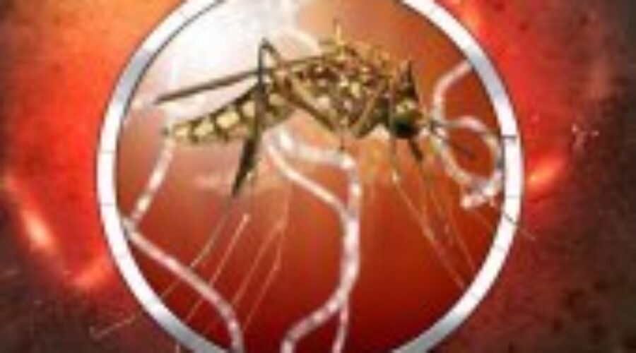 West Nile Death Reported In Minnesota