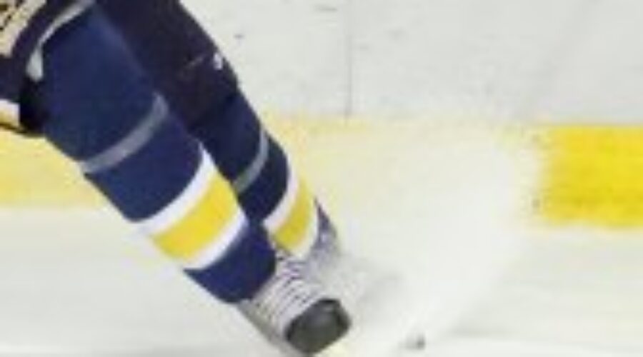 Dryden Hockey Positional Camp