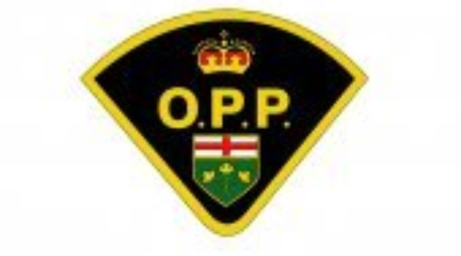 Teen Arrested For Breaking Into Vehicles