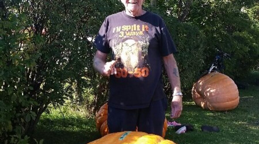 Bob Nelson Wins Giant Pumpkin Weigh Off