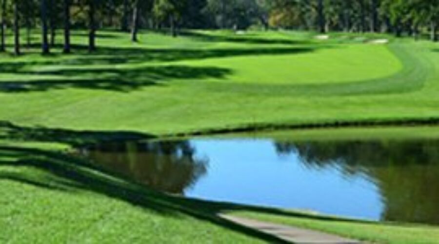 Wade Wetelainen Winner Of Manitoba Amateur Rural Golf Championship