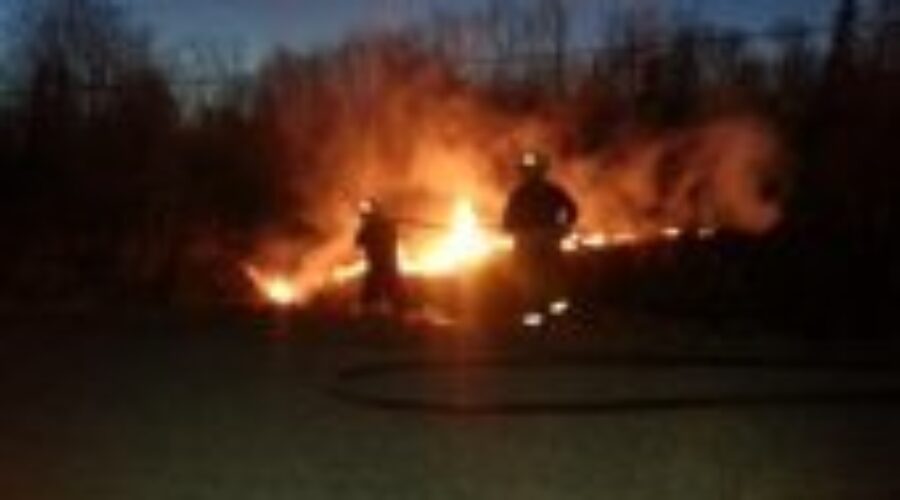 MNR Watching Forest Fire Hazard; Blaze In Oxdrift