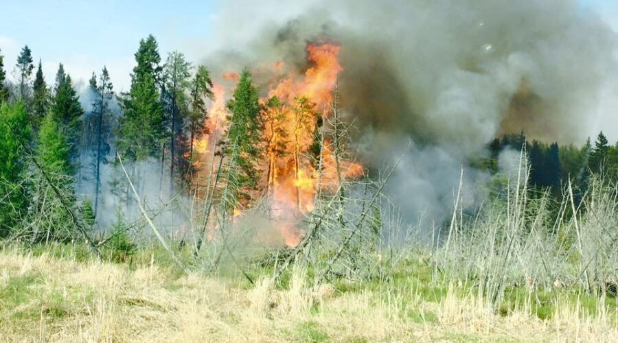 Highway 502 Closed