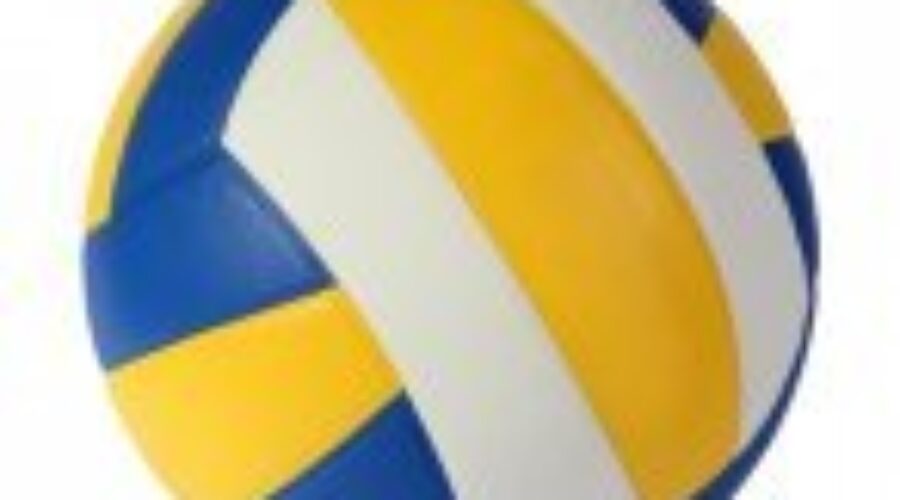 Club Volleyball Returns To Dryden High School