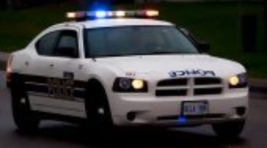 Young Female Charged With Domestic Assault